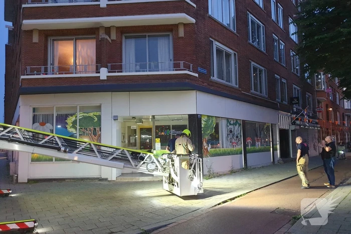 Twee duiven zitten vast in gaas