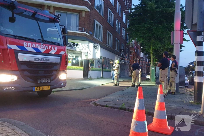 Twee duiven zitten vast in gaas