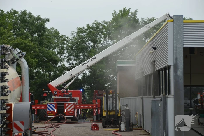 brand sibadawei easterein