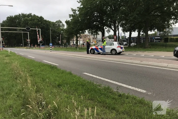 Hond overleden na aanrijding met vrachtwagen