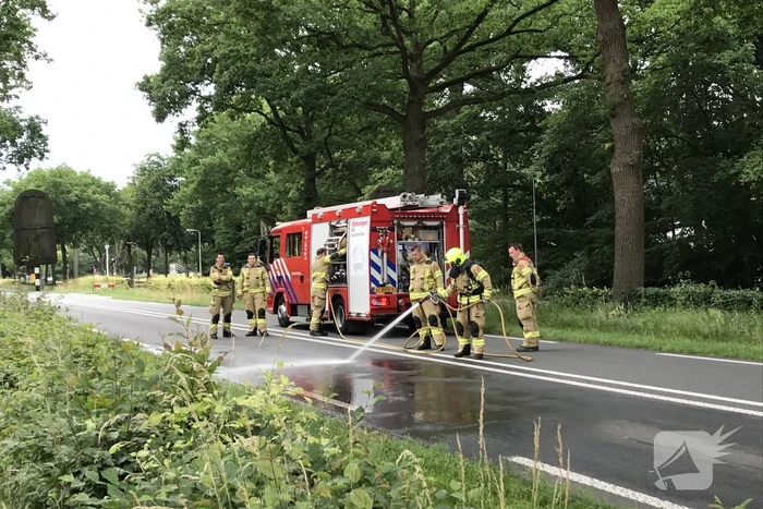 Hond overleden na aanrijding met vrachtwagen
