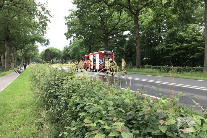 Hond overleden na aanrijding met vrachtwagen