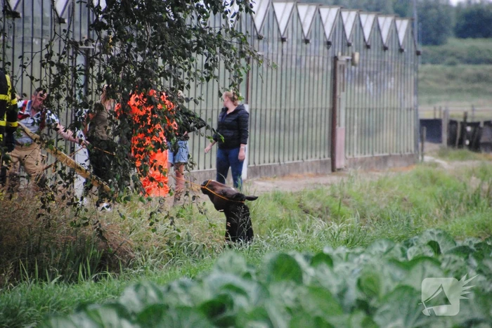 Brandweer haalt paard uit de sloot