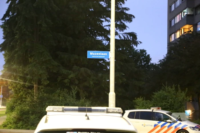 Vechtpartij eindigd in schietpartij
