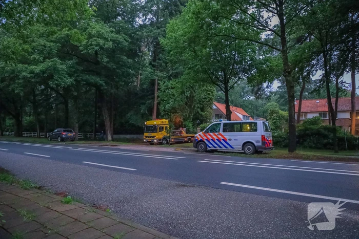Aanhouding bij aantreffen hennepkwekerij in villa