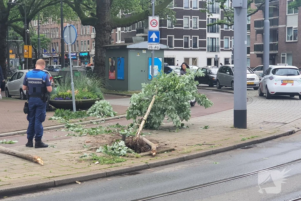 Vlietlaan Nieuws Rotterdam 