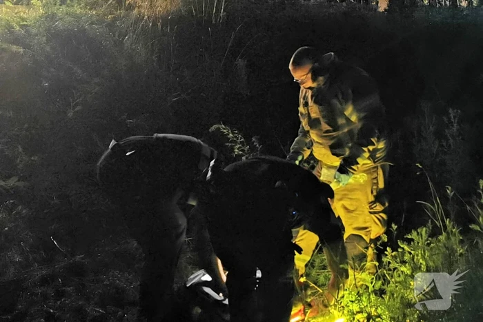 Dode en zwaargewonde na ernstig ongeval