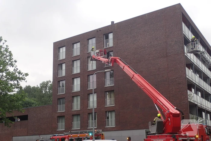 Brand in flatwoning