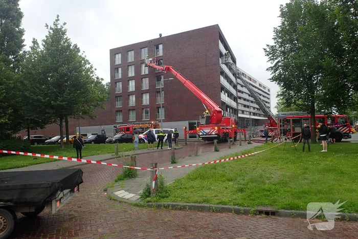 Brand in flatwoning