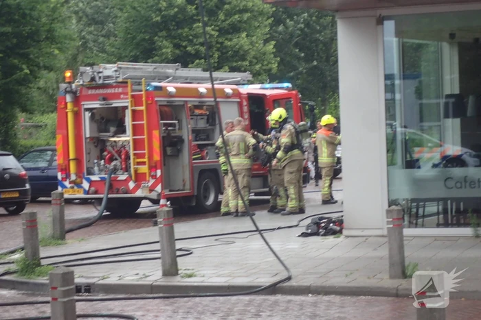 Brand in flatwoning