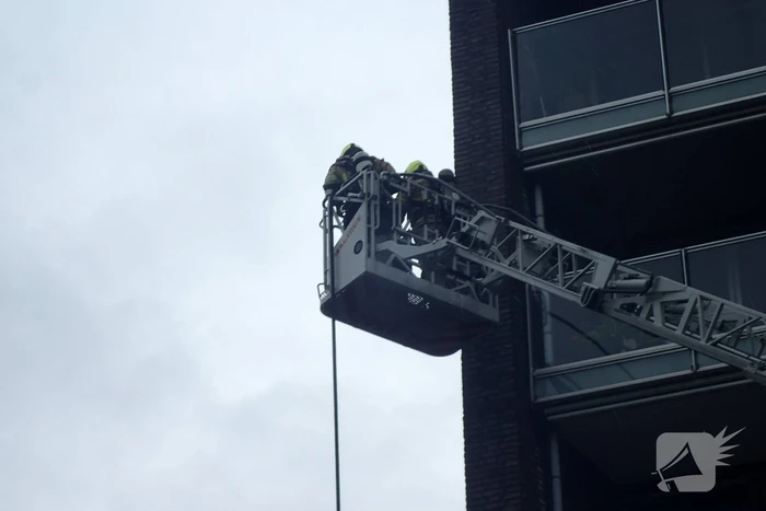 Brand in flatwoning
