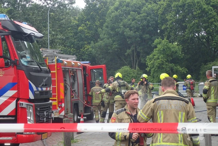 Brand in flatwoning