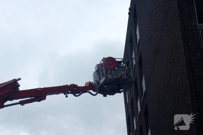 Brand in flatwoning