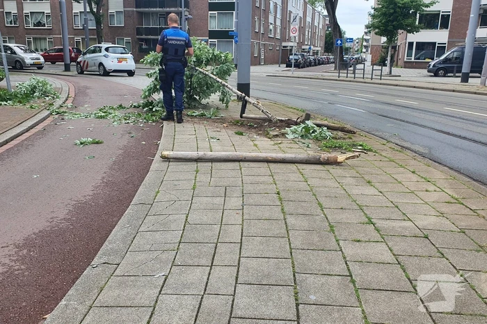 Auto rijdt door na ongeval tegen boom