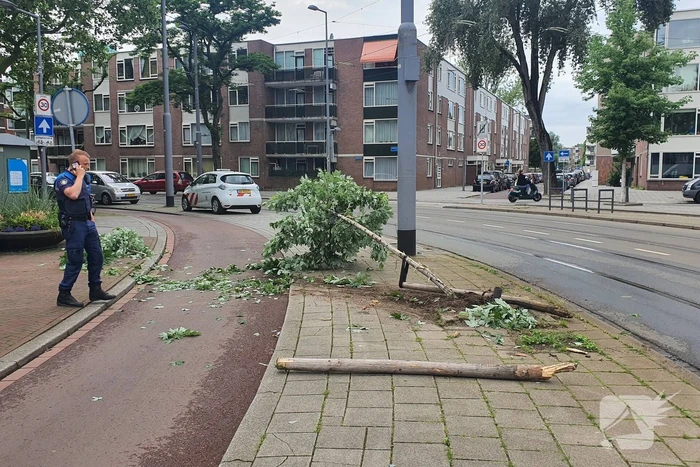 Auto rijdt door na ongeval tegen boom