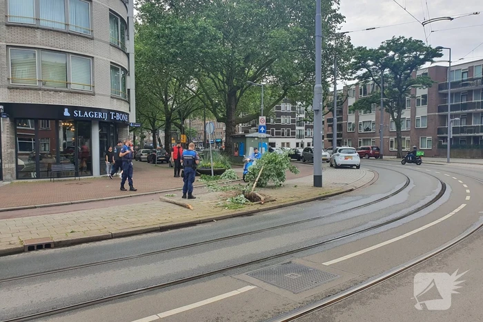 Auto rijdt door na ongeval tegen boom