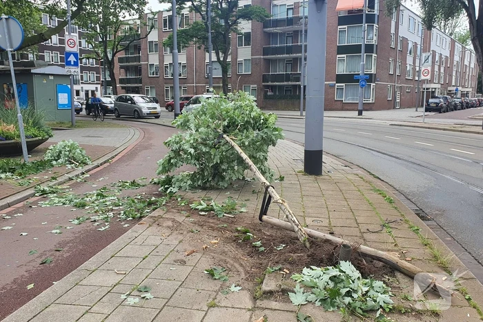 Auto rijdt door na ongeval tegen boom