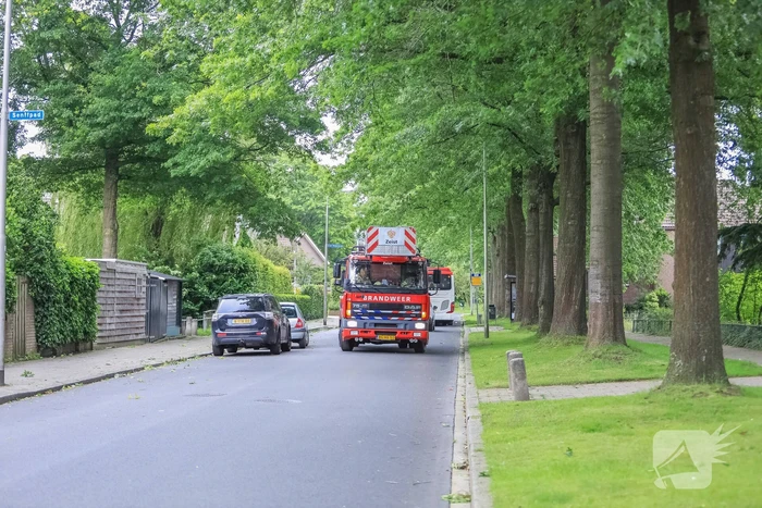 natuur rustenburgerweg amersfoort
