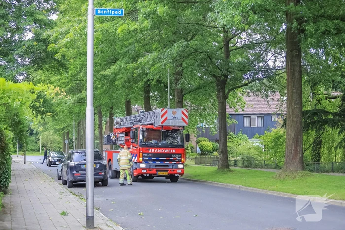 Loshangende tak door brandweer verwijderd