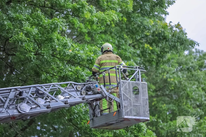 Loshangende tak door brandweer verwijderd