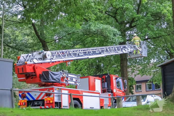 Loshangende tak door brandweer verwijderd