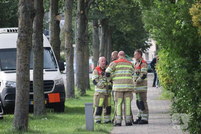 Bus met mogelijke gevaarlijke stoffen rijdt tegen boom