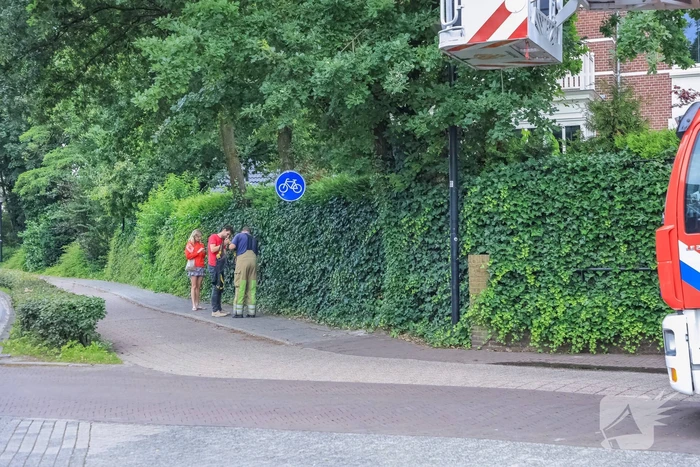 Valkparkiet vliegt boom in