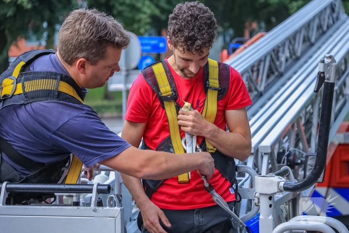 Valkparkiet vliegt boom in