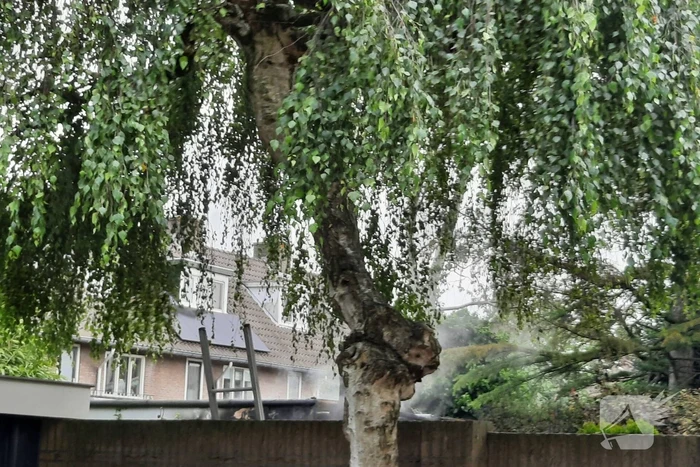 Veel rook bij brand in schuur