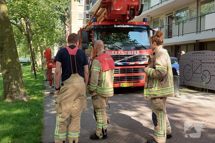 Vogel twee dagen vast in boom