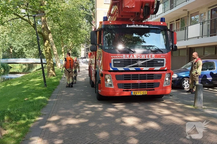 Vogel twee dagen vast in boom