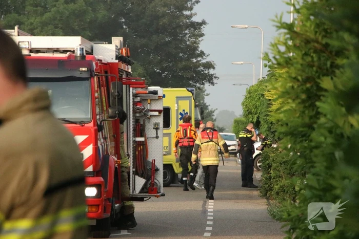 nieuws hoeksedijk maasdam