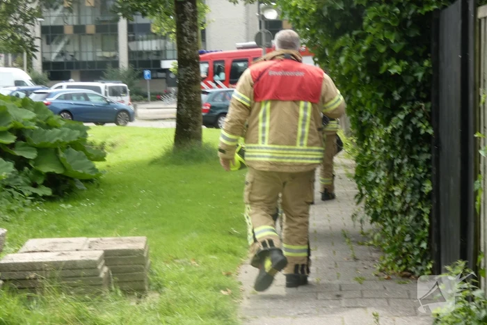 Struik vat vlam