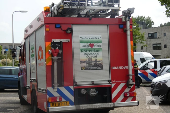 Struik vat vlam