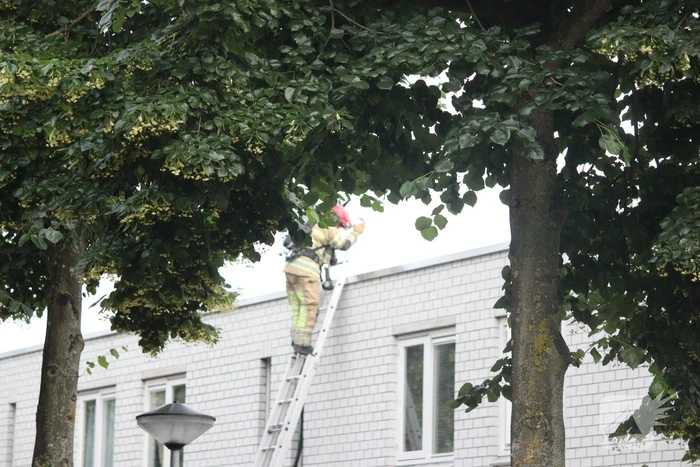 Brand in keuken slaat door naar dak