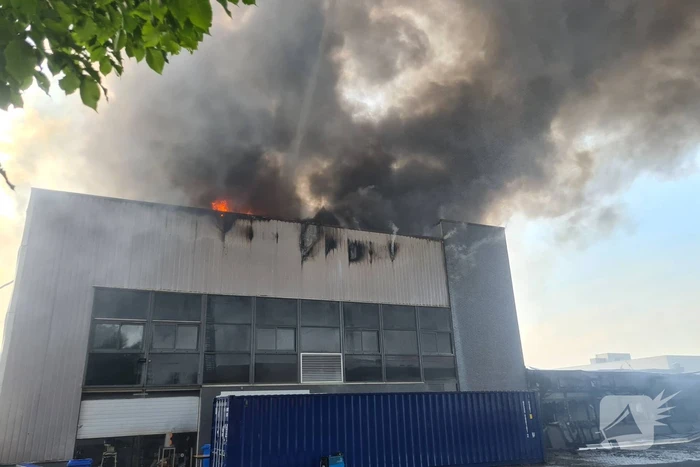 Brand Groenland Kip laait opnieuw op