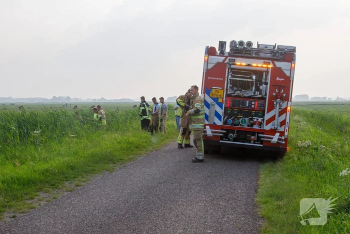 Kalf verdronken tijdens bevalling