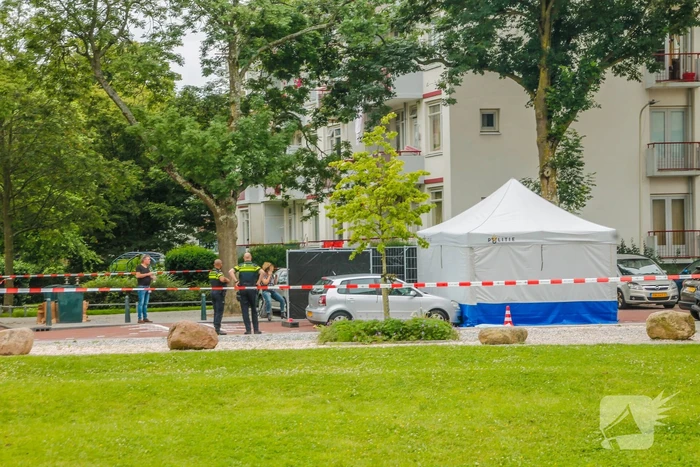 Twee doden bij heftig incident in psychiatrisch ziekenhuis Parnassia