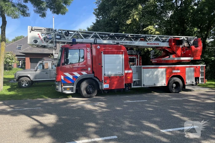 Pony uit zwembad gered