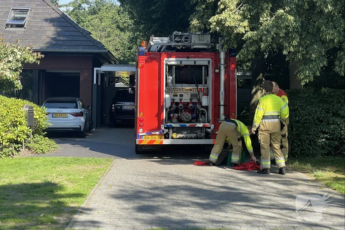 Pony uit zwembad gered