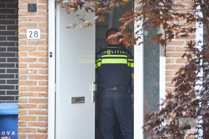 Hennepkwekerij met 50 planten aangetroffen in Kattenbroek