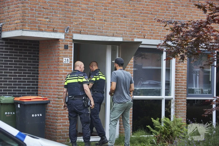 Hennepkwekerij met 50 planten aangetroffen in Kattenbroek