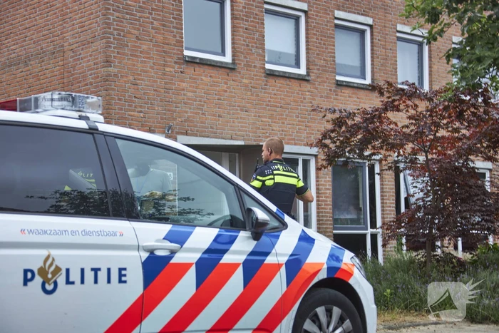 Hennepkwekerij met 50 planten aangetroffen in Kattenbroek