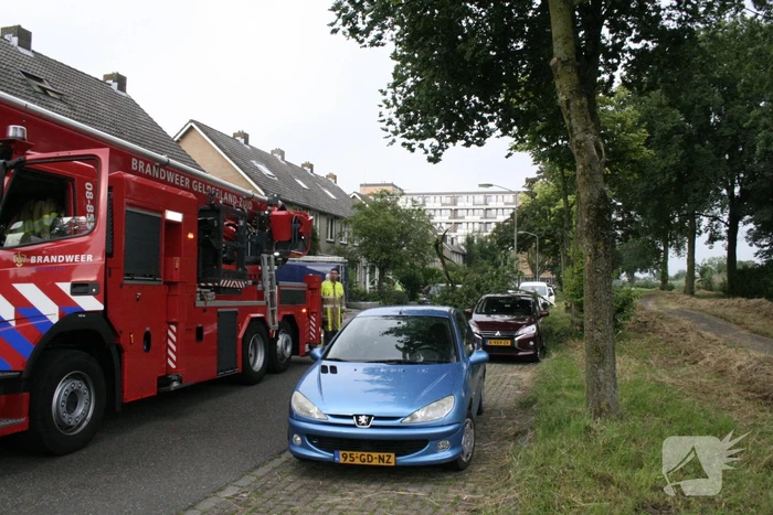 Tak valt vanuit boom op personenauto