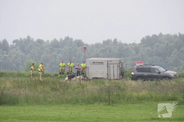 Man raakt gewond in weiland