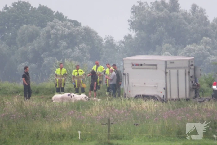 Man raakt gewond in weiland
