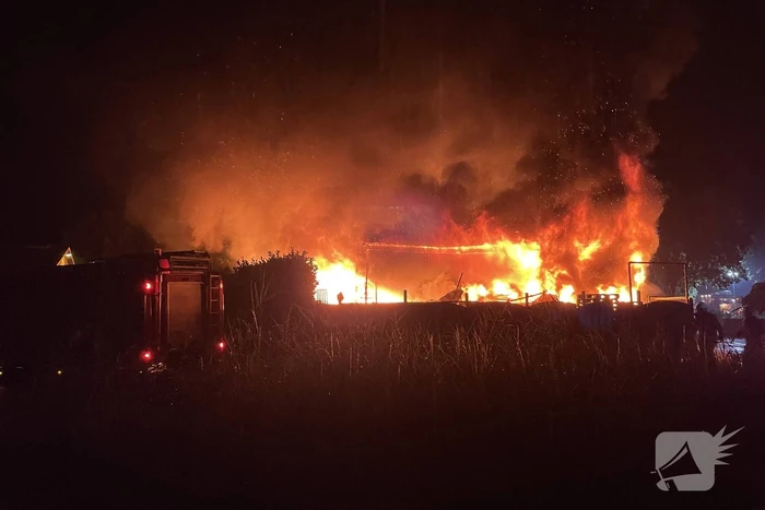 Kalven gered bij grote brand