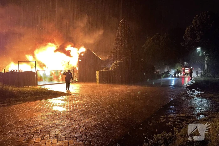 Kalven gered bij grote brand