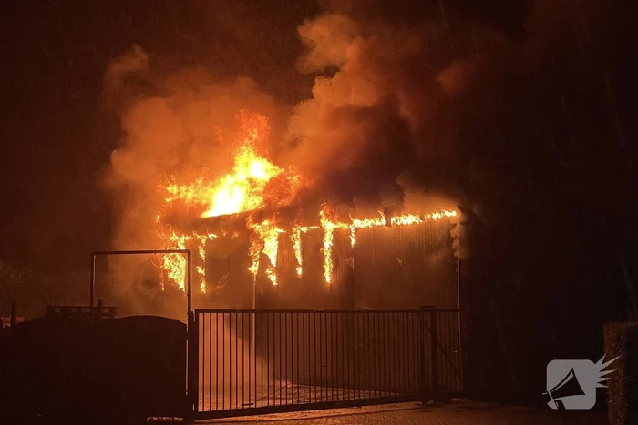 Kalven gered bij grote brand