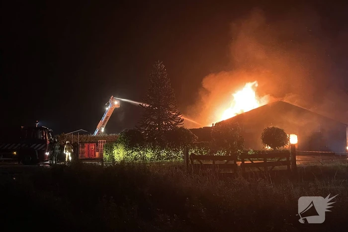 Kalven gered bij grote brand